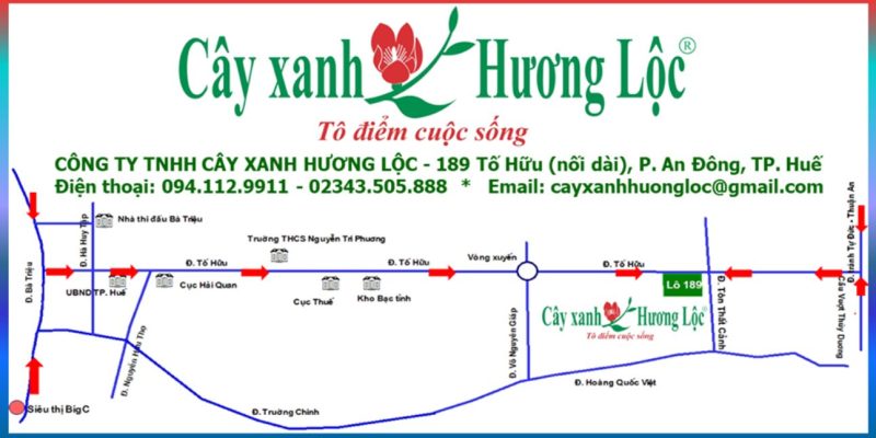 Công ty TNHH cây xanh Hương Lộc