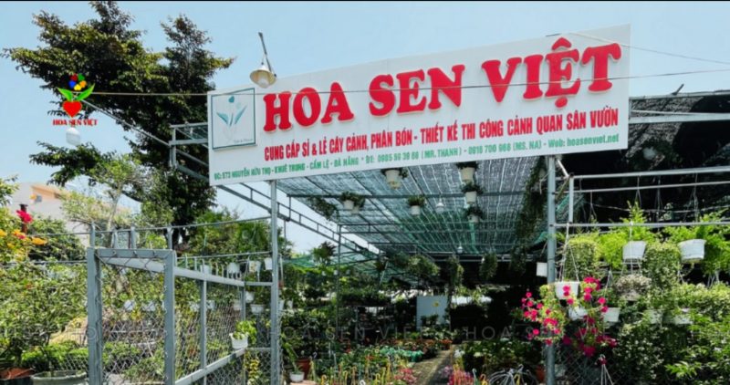 Hoa Sen Việt - Công ty cây xanh Đà Nẵng