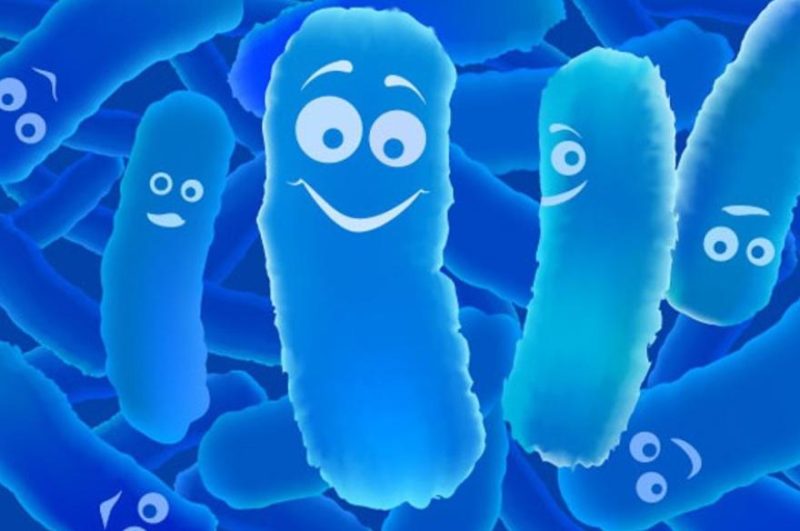 Vai trò của bacillus clausii đối với sức khỏe con người