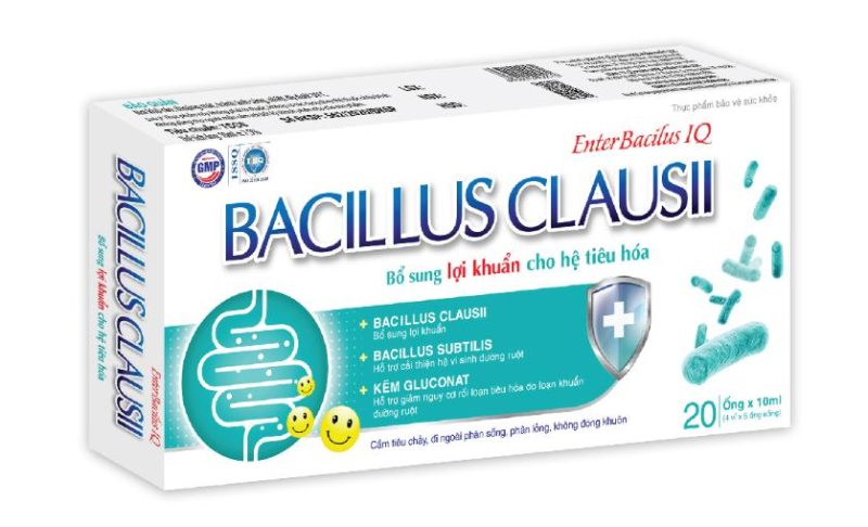 Men Uống Bacillus Clausii