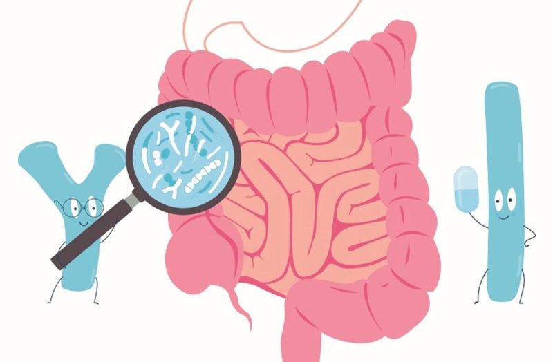 Bacillus clausii là một loại lợi khuẩn tự nhiên xuất hiện trong hệ vi sinh của con người