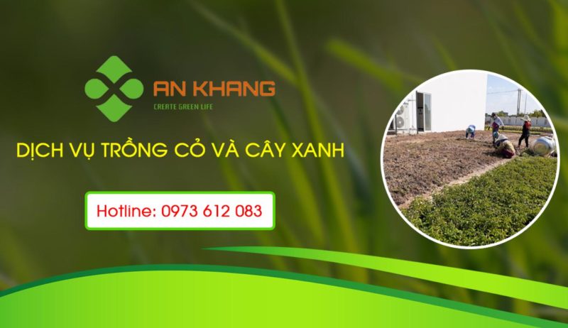 Công Ty TNHH Dịch Vụ Và Kỹ Thuật An Khang