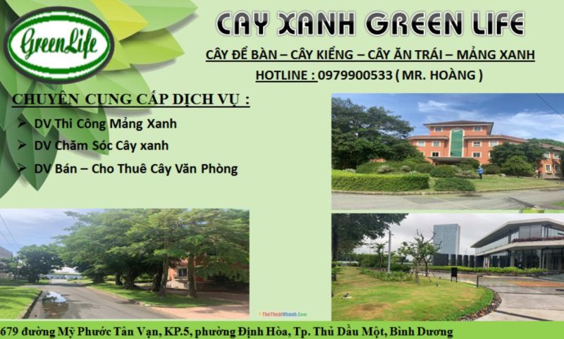 Công Ty TNHH Thương Mại Dịch Vụ Cây Xanh Green Life