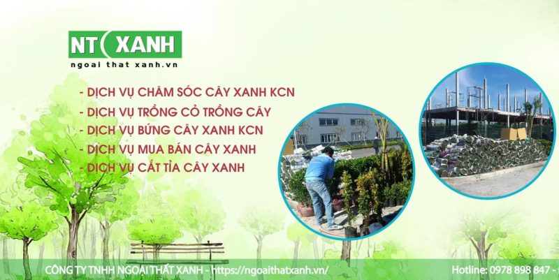 Công Ty TNHH Ngoại Thất Xanh