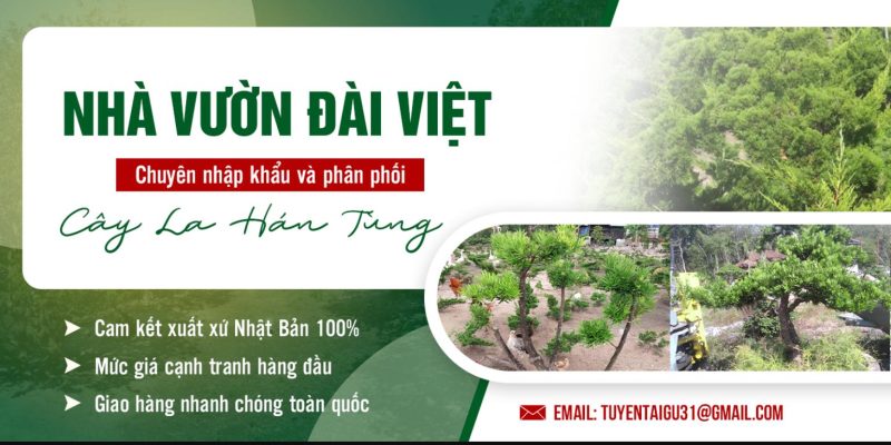 Nhà Vườn Đài Việt