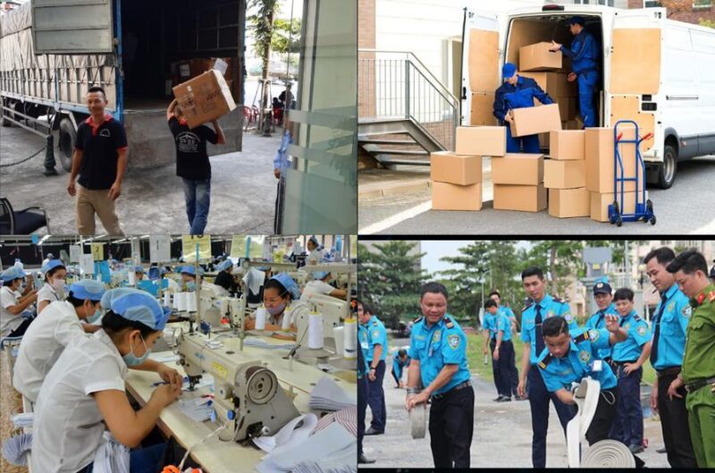 Công ty Nhân Lực Việt