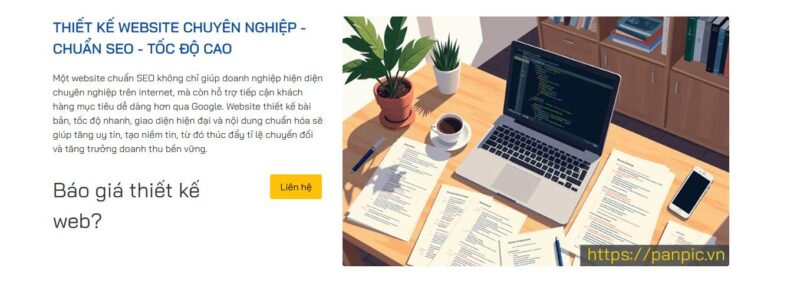 Panpic - Dịch vụ thiết kế web HCM