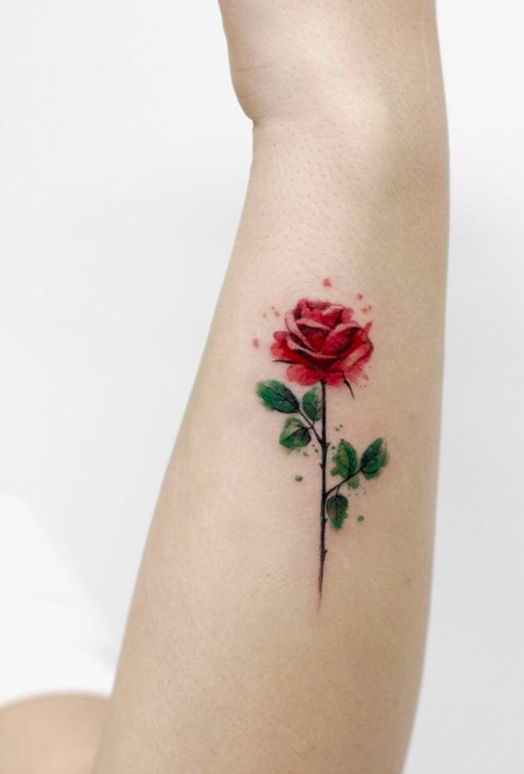 Hình xăm hoa hồng ở cánh tay