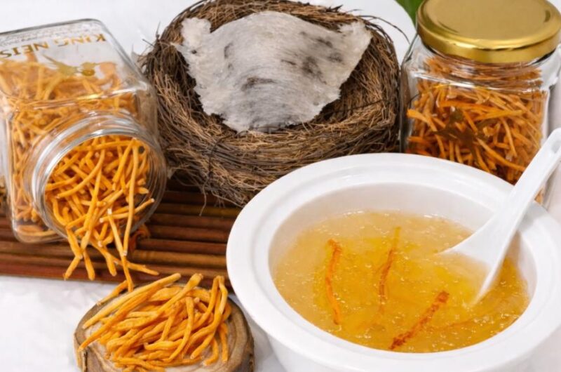 Thành quả yến chưng đông trùng hạ thảo hấp dẫn