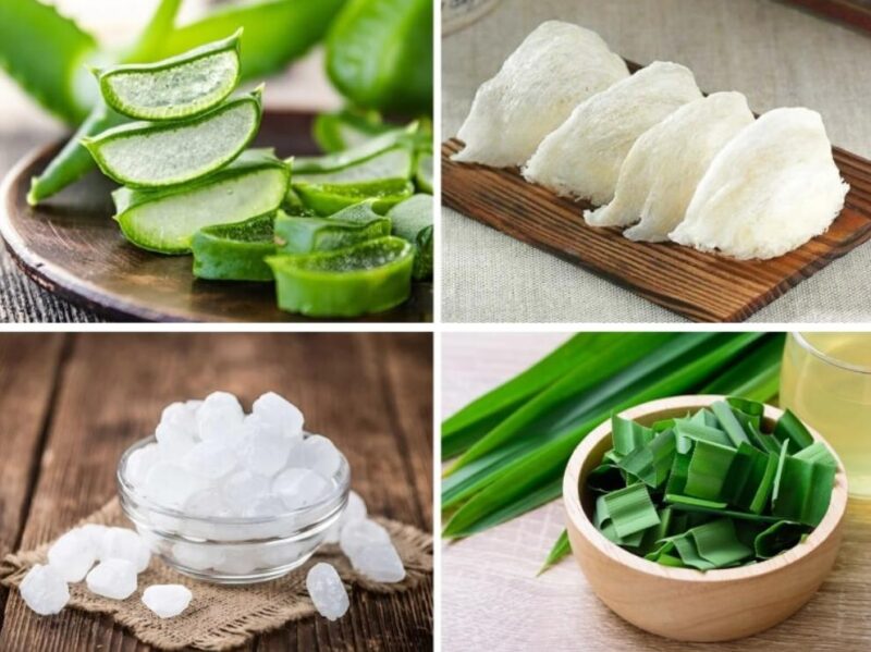 Nguyên liệu cần chuẩn bị cho món yến chưng lá dứa nha đam