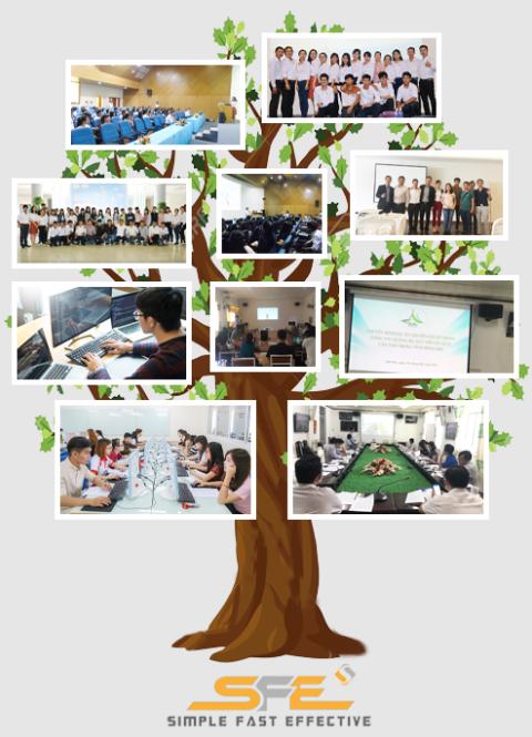 Công ty SEO hiệu quả SFE Solution