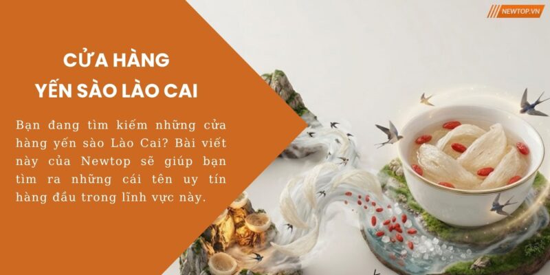 cửa hàng yến sào Lào Cai