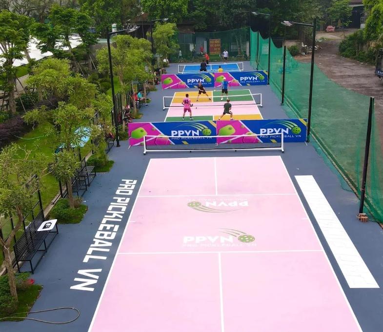 Pro Pickleball VN - Sân pickleball Hà Nội đẹp