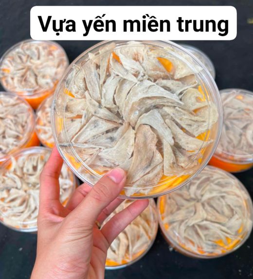 Vựa yến Miền Trung