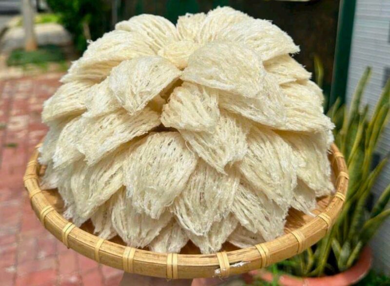 Yến sào Hoàng Gia - Lào Cai