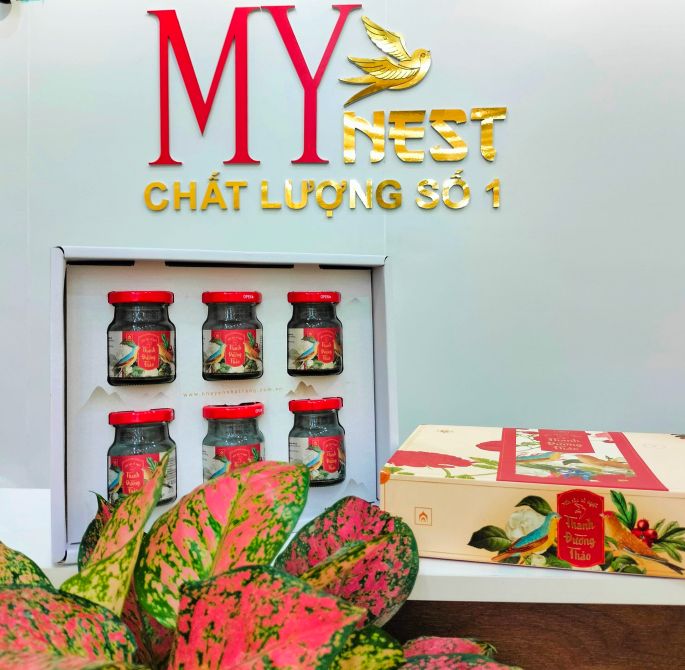 Mynest - Yến sào và nhân sâm