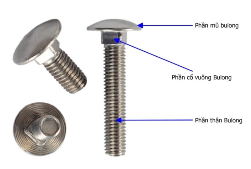 Bulong gồm 2 bộ phận chính: phần đầu và phần thân