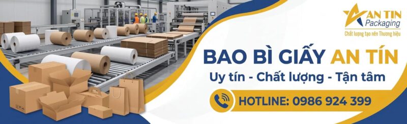 Tổng quan về Bao Bì Giấy An Tín